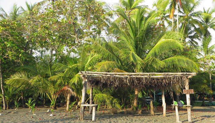 Costa Rica Schone Strande Und Tropischer Regenwald